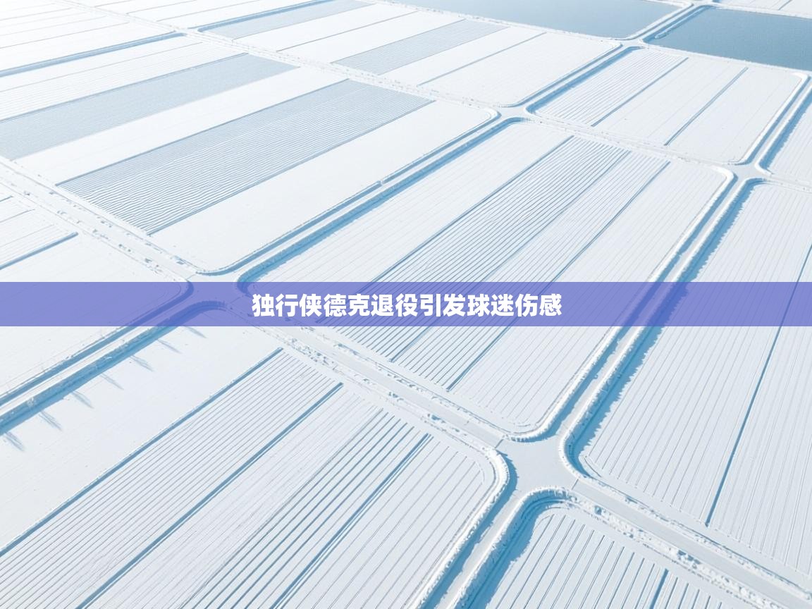 独行侠德克退役引发球迷伤感